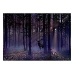 Фотообои - Mystical Forest - Second Variant цена и информация | Фотообои | hansapost.ee