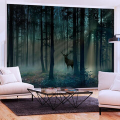 Фотообои - Mystical Forest - Third Variant цена и информация | Фотообои | hansapost.ee