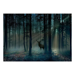 Fototapeet – Müstiline mets – Kolmas variant, 98x70 hind ja info | Fototapeedid | hansapost.ee