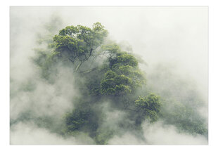 Fototapetas - Foggy Amazon, 98x70 hind ja info | Fototapeedid | hansapost.ee