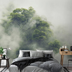 Fototapetas - Foggy Amazon, 98x70 price and information | Photo wallpapers | hansapost.ee