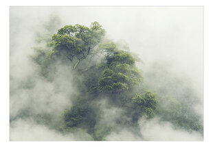 Фотообои - Foggy Amazon, 392x280 цена и информация | Фотообои | hansapost.ee