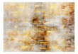 Fototapeet - Golden Expression, 98x70 hind ja info | Fototapeedid | hansapost.ee