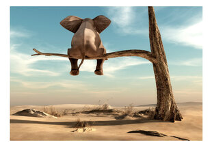 Фотообои - Elephant on the Tree, 343x245 цена и информация | Фотообои | hansapost.ee