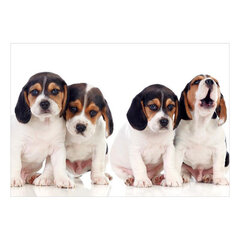 Fototapetas - Sad Puppies, 200x140 hind ja info | Fototapeedid | hansapost.ee