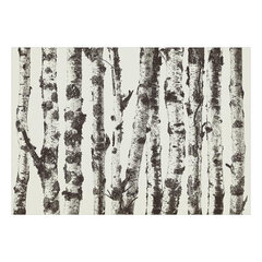 Fototapetas - Stately Birches - First Variant, 150x105 hind ja info | Fototapeedid | hansapost.ee