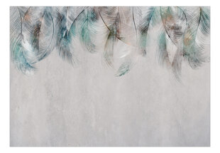 Fototapeet - Colourful Feathers, 98x70 hind ja info | Fototapeedid | hansapost.ee