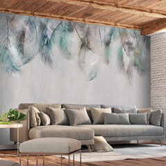 Fototapeet - Colourful Feathers, 98x70 price and information | Photo wallpapers | hansapost.ee