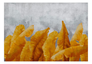 Fototapetas - Banana Leaves, 200x140 hind ja info | Fototapeedid | hansapost.ee