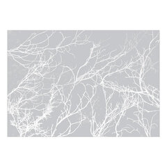 Fototapetas - White Trees, 200x140 hind ja info | Fototapeedid | hansapost.ee