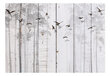 Fototapetas - Birds on Boards, 350x245 цена и информация | Fototapeedid | hansapost.ee