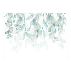 Fototapeet - Pastel Flora, 98x70 hind ja info | Fototapeedid | hansapost.ee