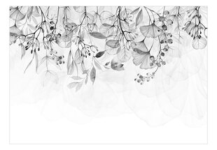 Fototapeet - Foggy Nature - Grey, 98x70 hind ja info | Fototapeedid | hansapost.ee