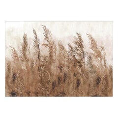 Fototapetas - Tall Grasses - Brown, 450x315 hind ja info | Fototapeedid | hansapost.ee