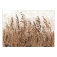 Fototapetas - Tall Grasses - Brown, 245x175 hind ja info | Fototapeedid | hansapost.ee