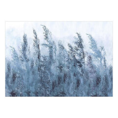 Fototapetas - Tall Grasses - Grey, 150x105 hind ja info | Fototapeedid | hansapost.ee