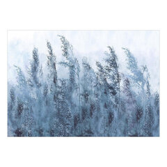 Fototapetas - Tall Grasses - Grey, 200x140 hind ja info | Fototapeedid | hansapost.ee