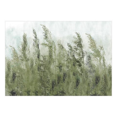 Fototapetas - Tall Grasses - Green, 300x210 hind ja info | Fototapeedid | hansapost.ee