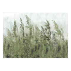 Fototapetas - Tall Grasses - Green, 400x280 hind ja info | Fototapeedid | hansapost.ee