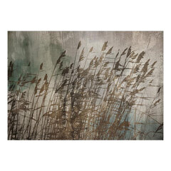 Fototapetas - Water Grasses, 150x105 hind ja info | Fototapeedid | hansapost.ee