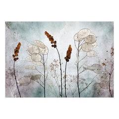 Fototapetas - Lunaria in the Meadow, 250x175 price and information | Photo wallpapers | hansapost.ee