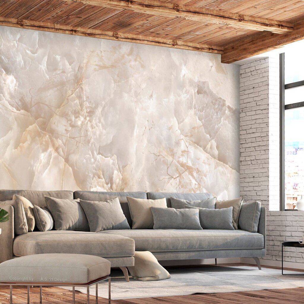 Fototapetas - Toned Marble, 450x315 цена и информация | Fototapeedid | hansapost.ee