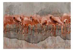 Fototapetas - Flamingo Lake, 250x175 hind ja info | Fototapeedid | hansapost.ee