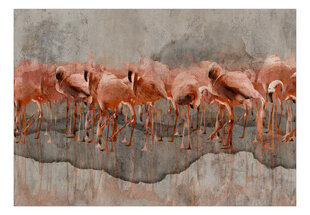 Fototapetas - Flamingo Lake, 300x210 hind ja info | Fototapeedid | hansapost.ee