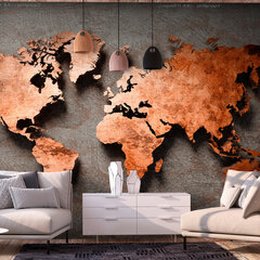 Фотообои - Copper Map, 98x70 цена и информация | Фотообои | hansapost.ee