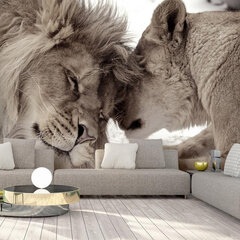 Fototapeet - Lion Tenderness (Sepia), 98 x 70 hind ja info | Fototapeedid | hansapost.ee
