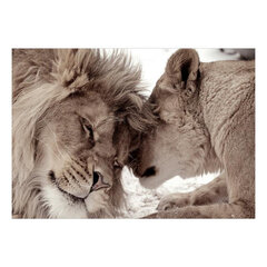 Fototapeet - Lion Tenderness (Sepia), 98 x 70 hind ja info | Fototapeedid | hansapost.ee