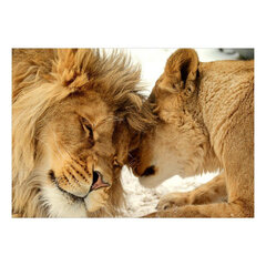 Fototapetas - Lion Tenderness, 98x70 hind ja info | Fototapeedid | hansapost.ee