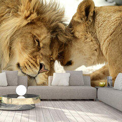 Фотообои - Lion Tenderness, 98x70 цена и информация | Фотообои | hansapost.ee