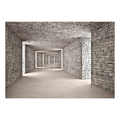 Фотообои - Mysterious Tunnel, 147x105 цена и информация | Фотообои | hansapost.ee