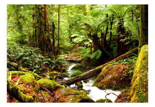 Fototapetas - Forest Brook, 98x70 hind ja info | Fototapeedid | hansapost.ee