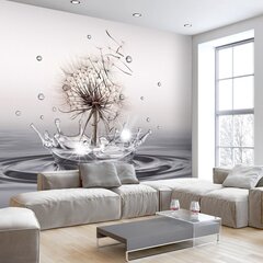 Fototapeet - Wind Drops, 98x70 price and information | Photo wallpapers | hansapost.ee