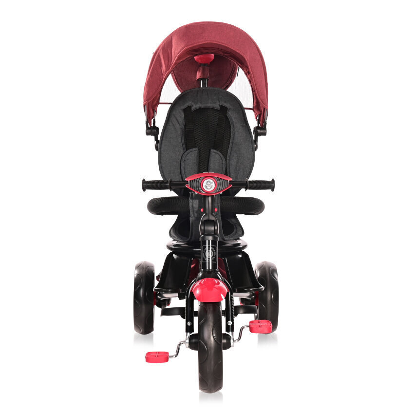 Kolmerattaline jalgratas Lorelli Enduro, Red&Black Luxe цена и информация | Kolmerattalised jalgrattad lastele | hansapost.ee