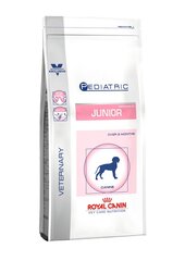 Royal Caninс проблемами кожи или чувствительной пищеварительной системой Pediatric Junior, 4 kg цена и информация | Сухой корм для собак | hansapost.ee