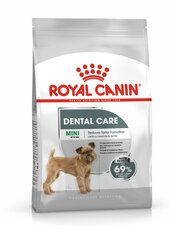 Hambaprobleemidega koerad Royal Canin Mini Dental Care, 1 kg цена и информация | Сухой корм для собак | hansapost.ee