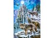 Pusle Castorland Puzzle Wolves and castle, 1500-osaline hind ja info | Pusled lastele ja täiskasvanutele | hansapost.ee