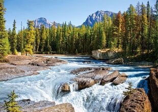 Pusle Puzzle Castorland Athabasca River (Jõgi Kanadas) Jasper National Park, Canada, 1500 osa. hind ja info | Pusled lastele ja täiskasvanutele | hansapost.ee