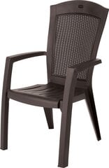 Aiatool Minnesota, pruun цена и информация | Садовые стулья, кресла, пуфы | hansapost.ee
