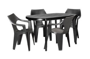 Plastikust aialaud Elise, hall price and information | Garden tables | hansapost.ee