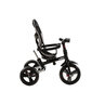 Multifunktsionaalne kolmerattaline Kikkaboo Nikki, Beige Melange 2020 цена и информация | Kolmerattalised jalgrattad lastele | hansapost.ee