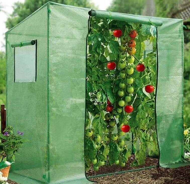 Kasvuhoone tomatitele, 200x77x168/146 cm, valge hind ja info | Kasvuhooned ja peenrakastid | hansapost.ee