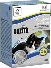 Konserv kassidele Bozita Feline Outdoor & Active - tetra pakk, 190 g hind ja info | Kassikonservid | hansapost.ee