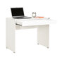 Kirjutuslaud Kalune Design CMS-301-DD-1, valge hind ja info | Arvutilauad, kirjutuslauad | hansapost.ee
