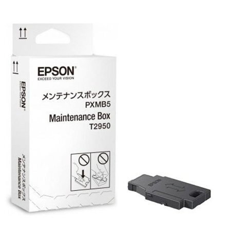 Tindiprinteri hoolduskomplekt Epson Inkjet C13T295000 hind ja info | Printeritarvikud | hansapost.ee