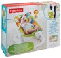 Lamamistool Fisher Price Jumperoo, lastele, CMR20 hind ja info | Beebi lamamistoolid | hansapost.ee