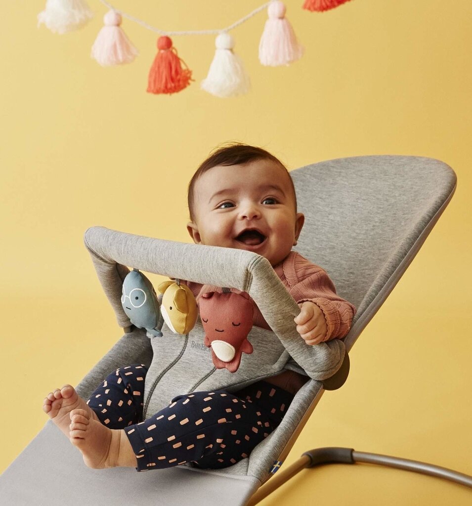 Babybjörn lamamistool Bliss Bundle Light Grey, 3D Jersey/toy hind ja info | Beebi lamamistoolid | hansapost.ee